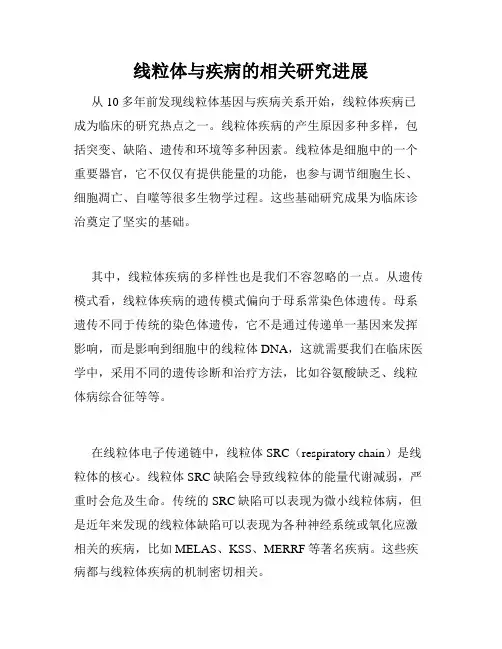 线粒体与疾病的相关研究进展