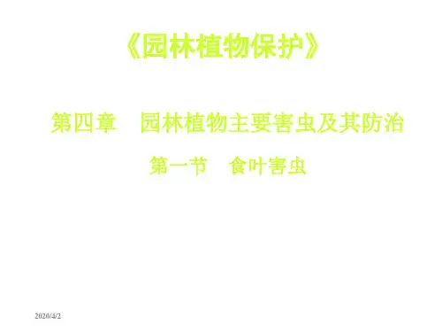 园林植物保护-主要害虫