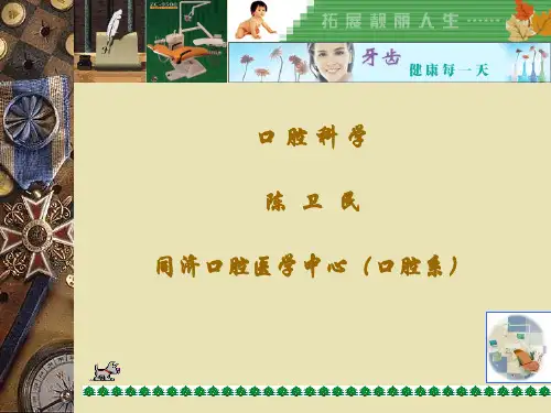口腔颌面部解剖生理