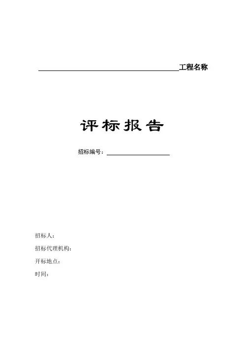 评标报告范本