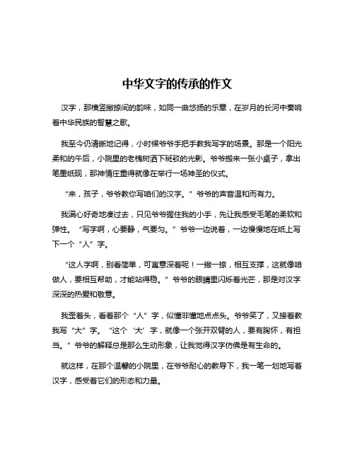 中华文字的传承的作文
