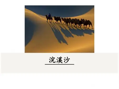 人教(2018部编版)九年级语文下册课件：课外古诗词诵读1浣溪沙(身向云山那畔行)