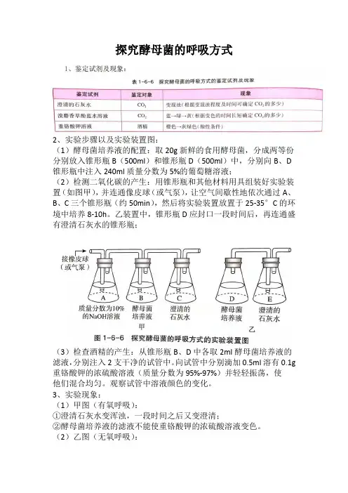 探究酵母菌的呼吸方式实验-高一上学期生物人教版必修1
