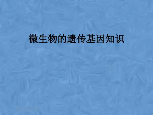 微生物的遗传基因知识