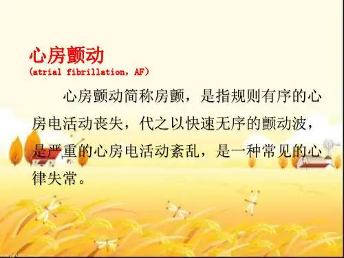 心房颤动PPT课件