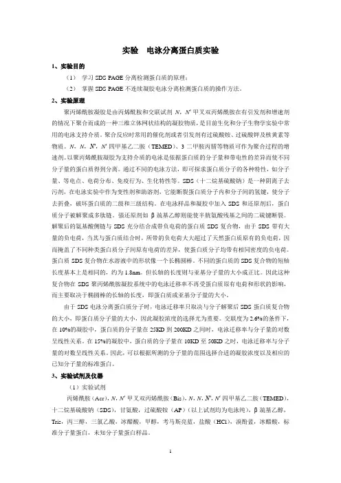实验 电泳分离蛋白质实验