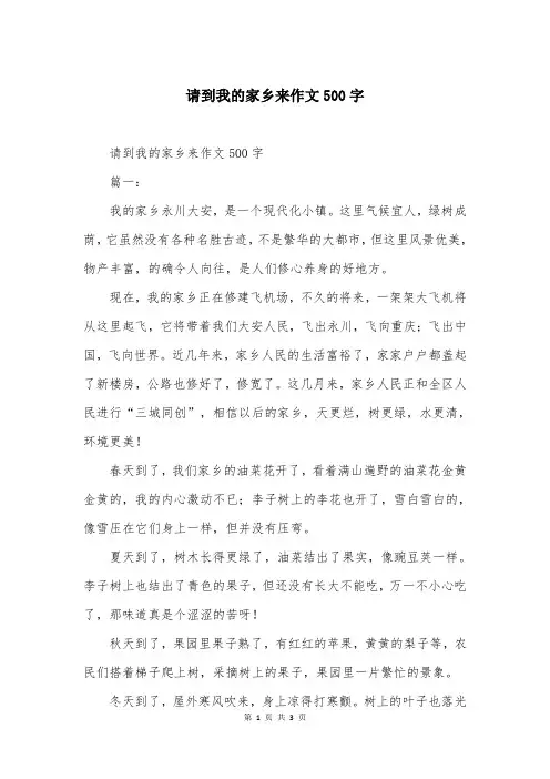 请到我的家乡来作文500字