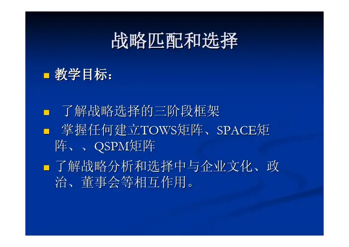 企业战略匹配和选择