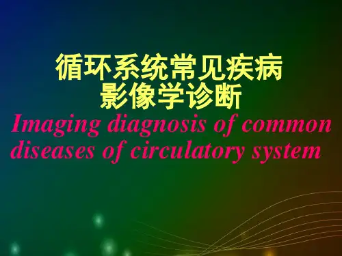 循环系统常见疾病影像诊断PPT