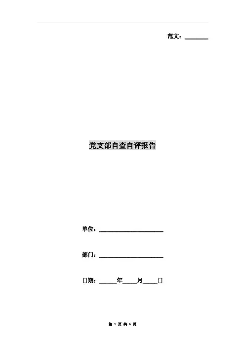 党支部自查自评报告