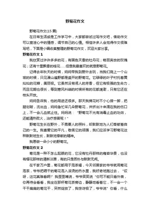 野菊花作文（15篇）