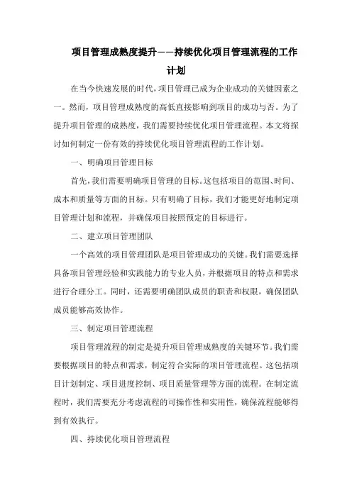 项目管理成熟度提升——持续优化项目管理流程的工作计划
