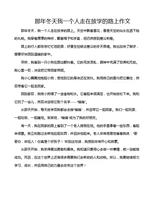 那年冬天我一个人走在放学的路上作文