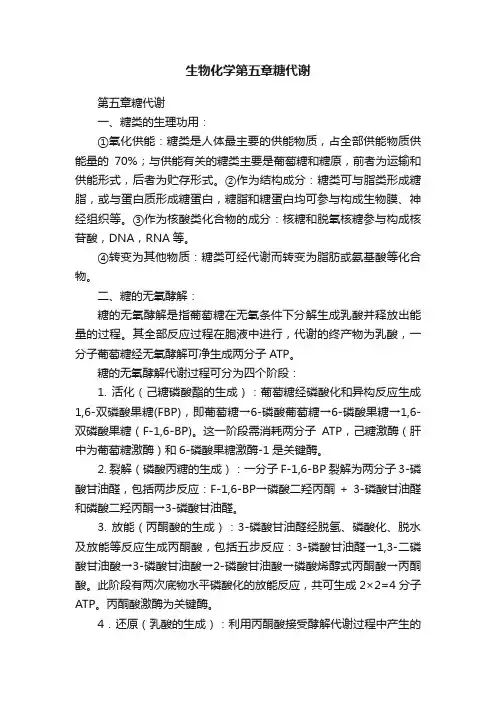 生物化学第五章糖代谢