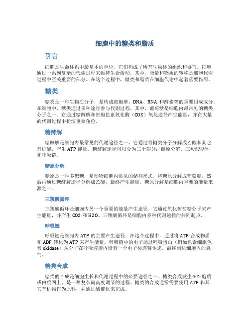 《细胞中的糖类和脂质》说课稿——获奖说课稿