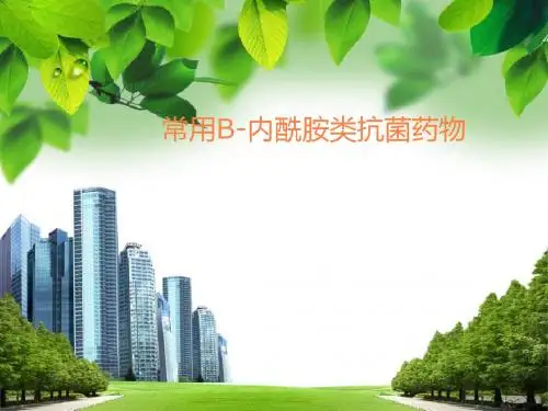 常用B-内酰胺类抗菌药物