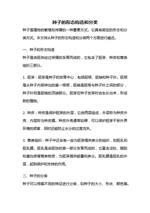 种子的形态构造和分类
