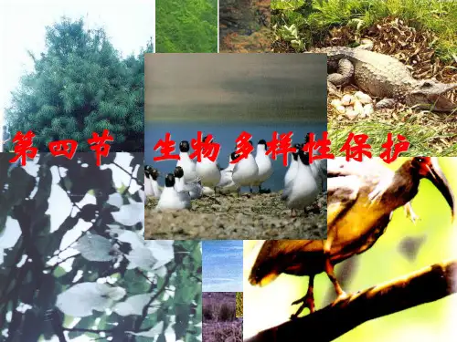 人教版高中地理选修六第四章 生态环境保护 第四节 生物多样性保护教学课件  (共23张PPT)