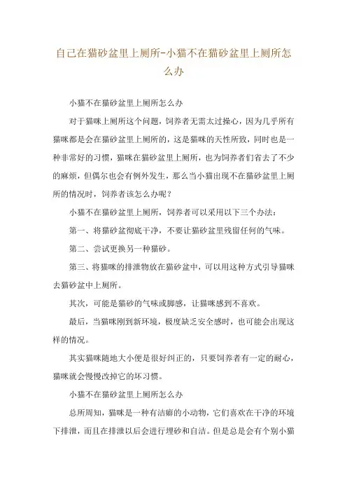 自己在猫砂盆里上厕所-小猫不在猫砂盆里上厕所怎么办
