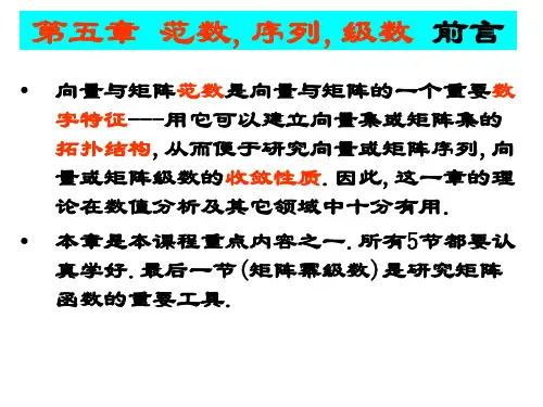 研究生矩阵理论课后答案第5章