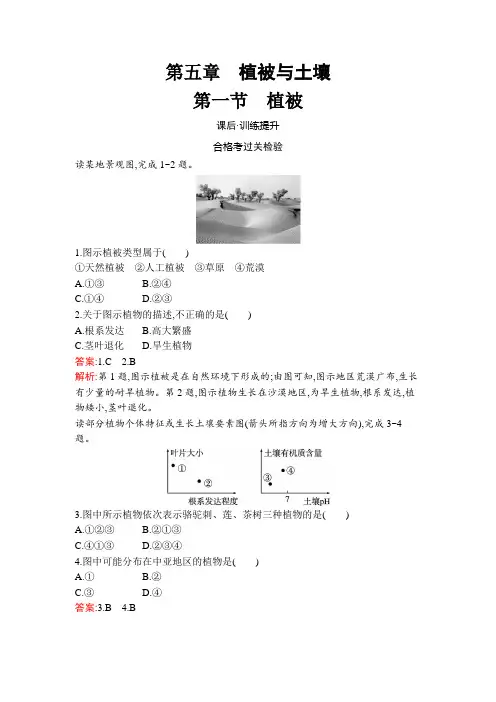 人教高中地理必修第一册第五章 第一节 植被