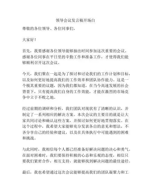 领导会议发言稿开场白