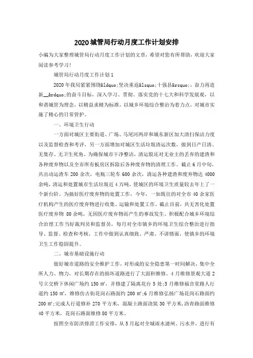 2020城管局行动月度工作计划安排