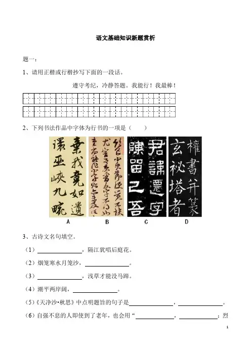 (名师整理)最新部编人教版语文中考专题复习《基础知识》精讲精练(含答案)