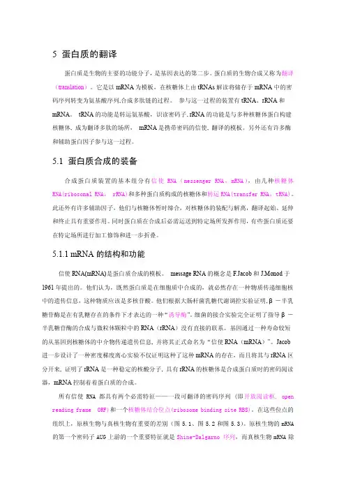 5蛋白质的翻译