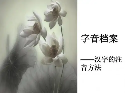 字音档案——汉字的注音方法 上课