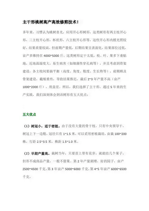 主干形桃树高产高效修剪技术
