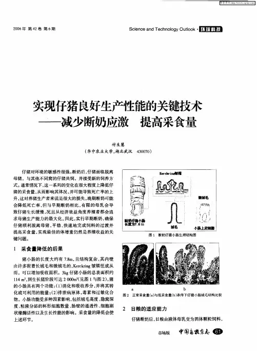 实现仔猪良好生产性能的关键技术——减少断奶应激 提高采食量