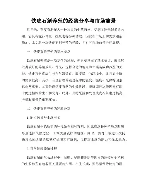 铁皮石斛养殖的经验分享与市场前景