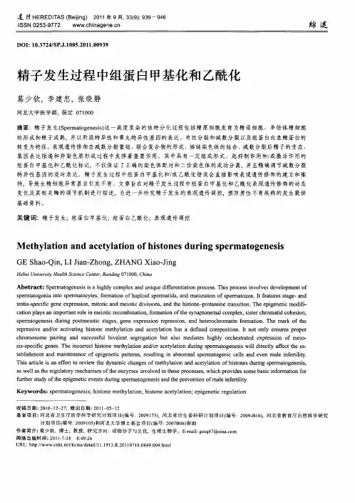 精子发生过程中组蛋白甲基化和乙酰化