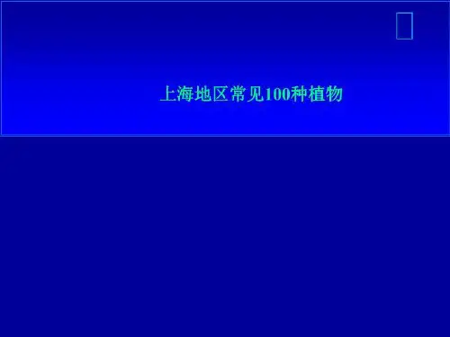 上海地区常见100种植物