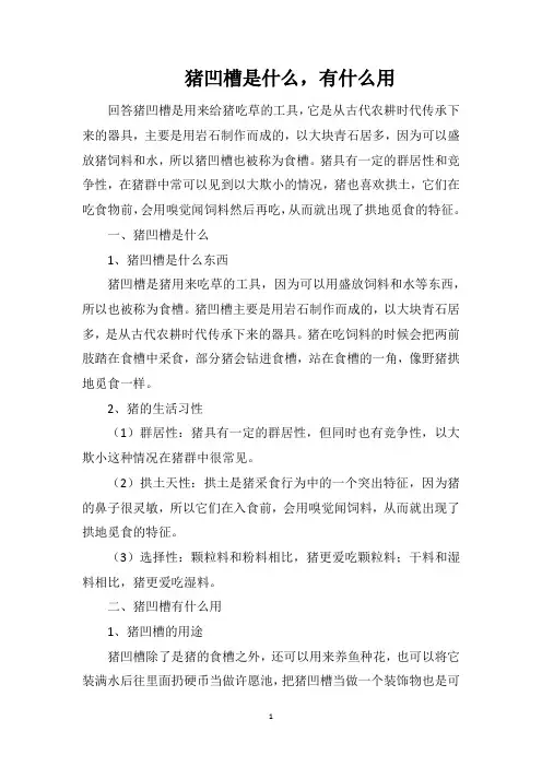 猪凹槽是什么,有什么用