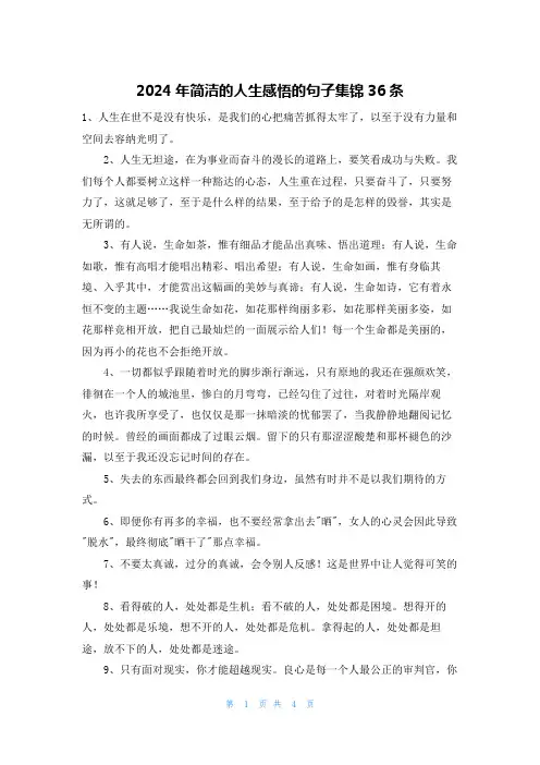 2024年简洁的人生感悟的句子集锦36条