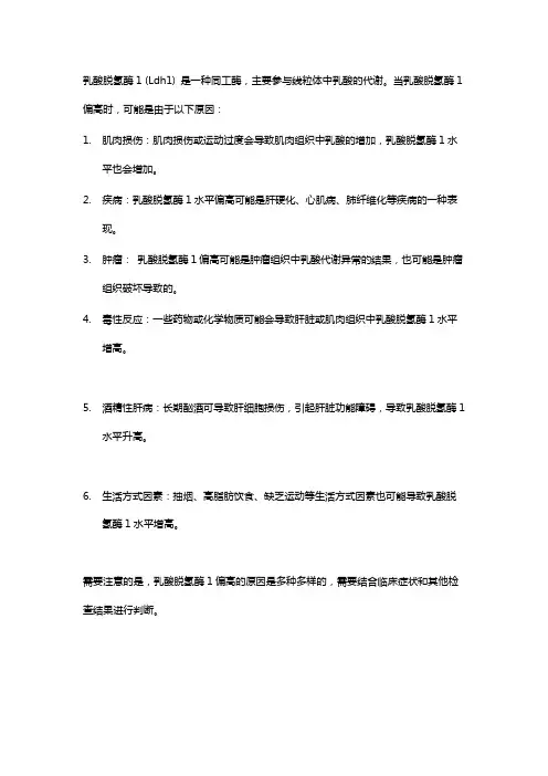 乳酸脱氢酶同工酶1偏高的原因