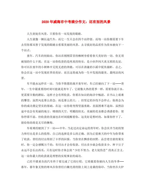 山东省威海市2020年中考语文满分作文 还有别的风景素材