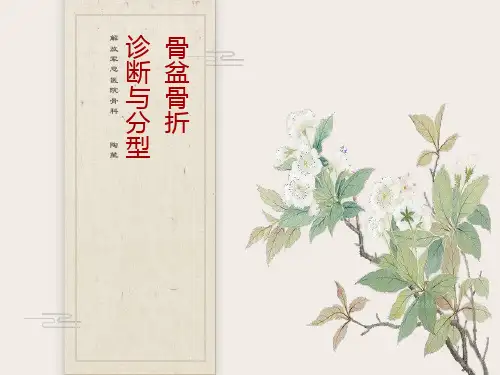 骨盆骨折诊断与分型