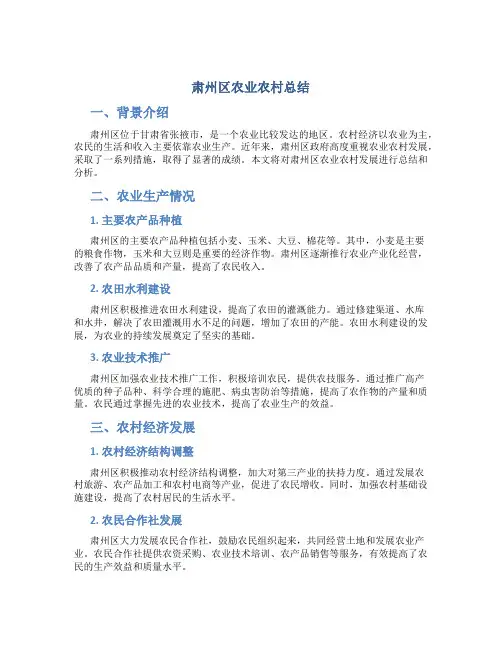 肃州区农业农村总结