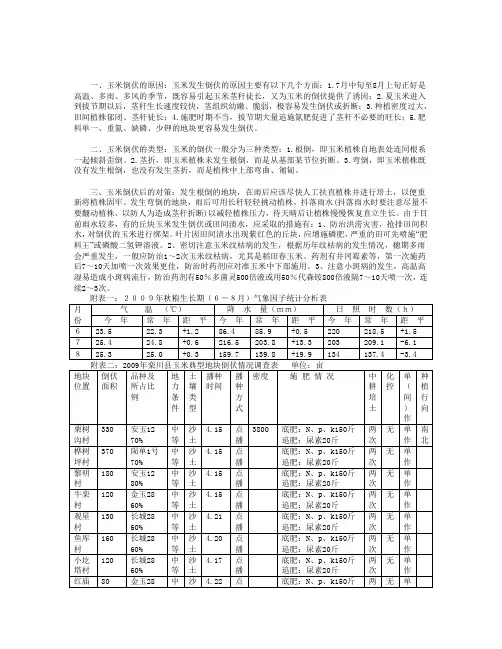 玉米倒伏的五个因素及预防