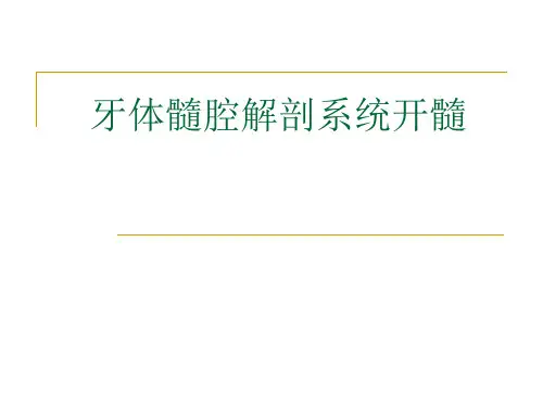 牙体髓腔解剖系统开髓参考PPT