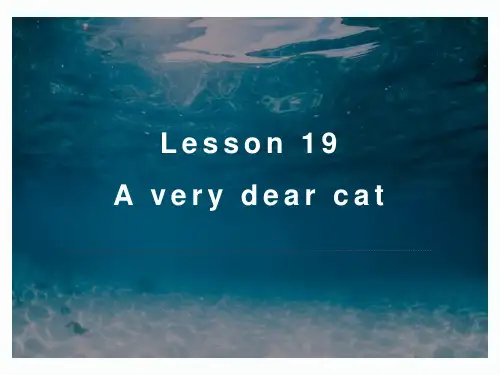 新概念英语第三册PPT课件：NCE3_lesson19(共41页)