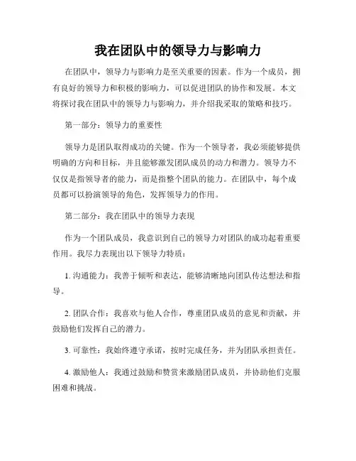 我在团队中的领导力与影响力