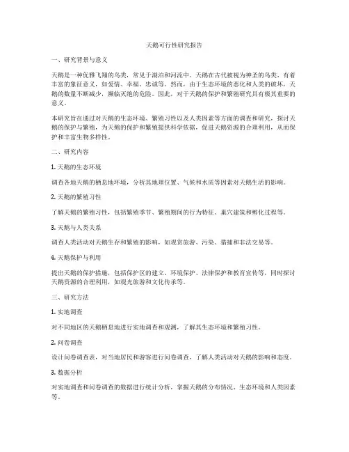 天鹅可行性研究报告