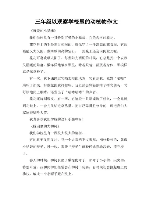 三年级以观察学校里的动植物作文
