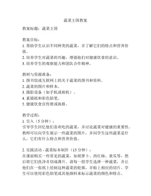 蔬菜王国教案