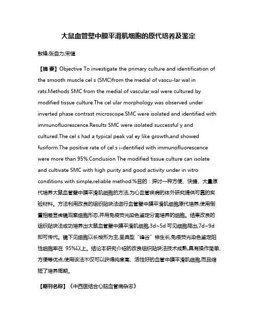 大鼠血管壁中膜平滑肌细胞的原代培养及鉴定