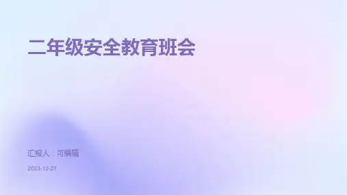 二年级安全教育班会 (3)